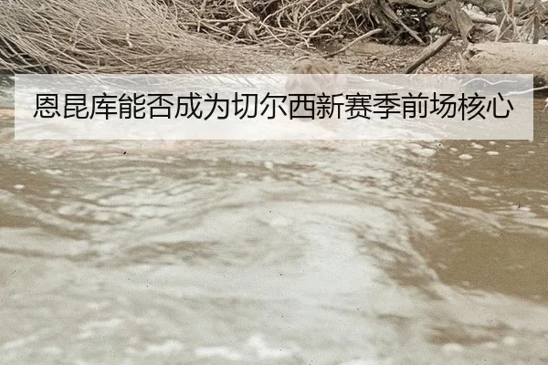 恩昆库能否成为切尔西新赛季前场核心